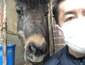 ロバとハーフ 行政書士アジア危機管理法務事務所 名古屋 行政書士 ビザ申請 帰化申請 外国人雇用 就労ビザ